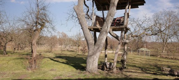 6 rooms House in Potsdam, Germany No. 12289 24