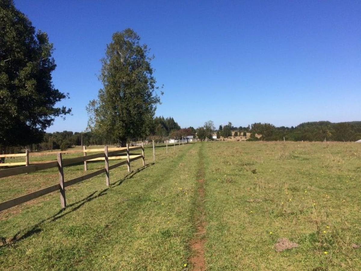 Terrain à Los Rios, Chile No. 722