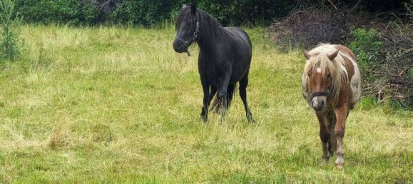 Granja de 8 habitaciónes en Elbe-Elster, Germany No. 25523 6