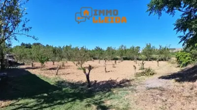 1 bedroom House in Rossello, Spain No. 218005