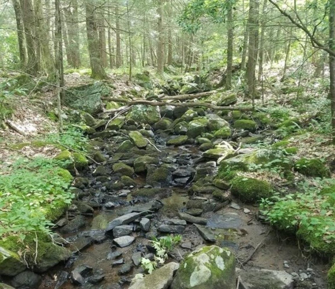  Land in Sturbridge, USA No. 489657