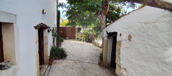 6 bedrooms House in Torres Novas, Portugal No. 185776 4