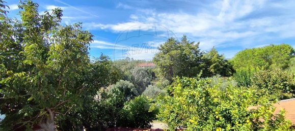 6 bedrooms House in Torres Novas, Portugal No. 185776 30