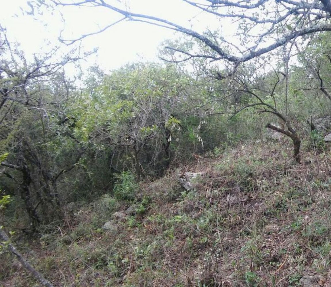 Terreno en Córdoba, Argentina No. 44871