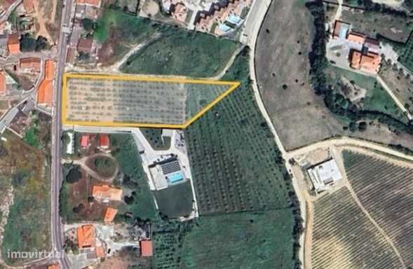 5200m² Land in Bombarral, Portugal No. 214435