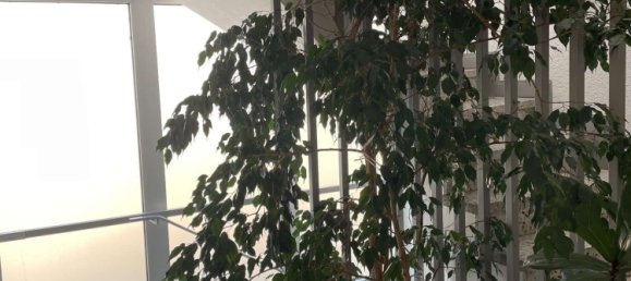 Пентхаус с 4 комнатами в Вупперталь, Германия № 24141 7