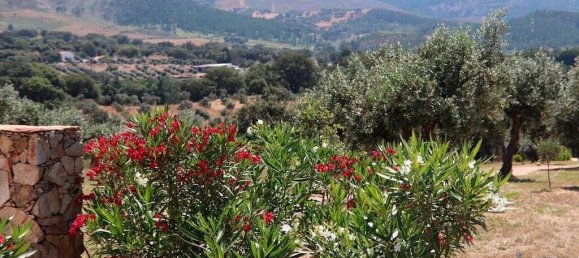 5 غرف نوم تاون هاوس في Portalegre, Portugal رقم 111203 23