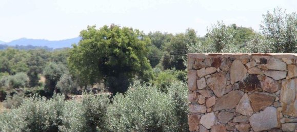 5 غرف نوم تاون هاوس في Portalegre, Portugal رقم 111203 12