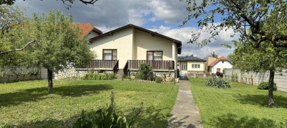 5-Zimmer Haus in Gols, Austria, Nr. 16461 2