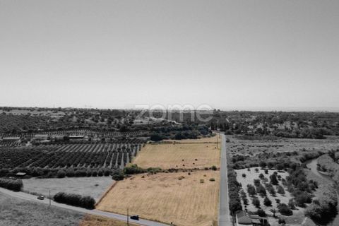 Land in Tavira, Portugal No. 221742
