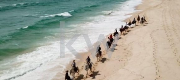 8 bedrooms House in Grandola, Portugal No. 120938 39