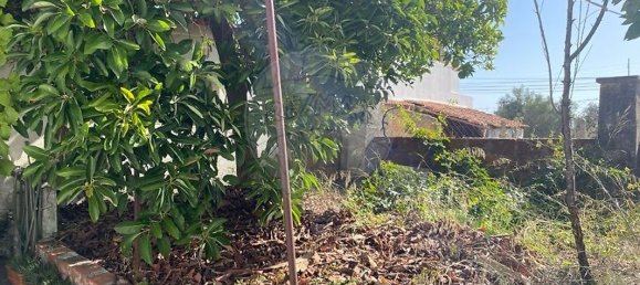 3 غرف نوم منزل في Torres Novas, Portugal رقم 21320 21