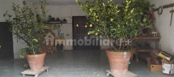 3 Schlafzimmer Wohnung in Torrita di Siena, Italy, Nr. 149142 32