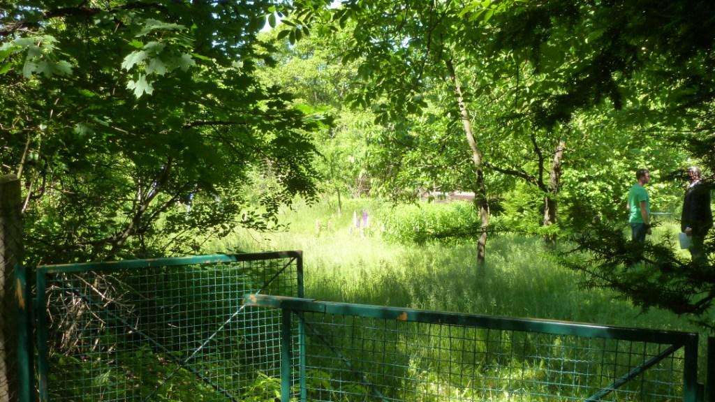 Земельный участок в Oder-Spree, Германия № 280901