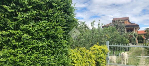 7 rooms Villa in Cirié, Italy No. 155317 34