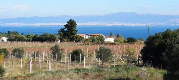 3 bedrooms Commercial property in Thermaic Gulf, Greece No. 6503 22