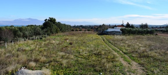 3 bedrooms Commercial property in Thermaic Gulf, Greece No. 6503 20