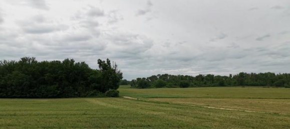 Земельный участок 3500м² в Поджибонси, Италия № 185936 5