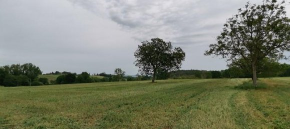 Земельный участок 3500м² в Поджибонси, Италия № 185936 6