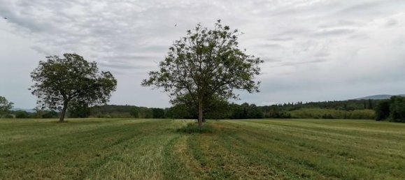 Земельный участок 3500м² в Поджибонси, Италия № 185936 3