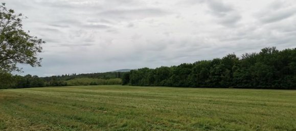 Земельный участок 3500м² в Поджибонси, Италия № 185936 4