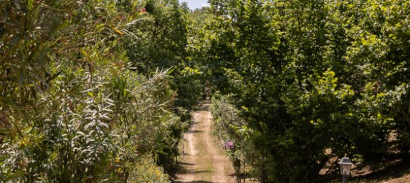 7 bedrooms Villa in Bassano Romano, Italy No. 133031 12