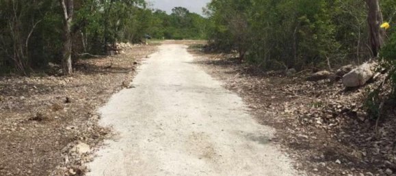 Terreno em Merida, Mexico N.º 110768 2