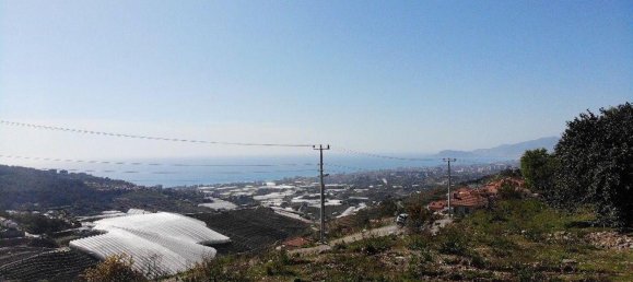 Villa 5+1 in Alanya, Turkey No. 24688 8