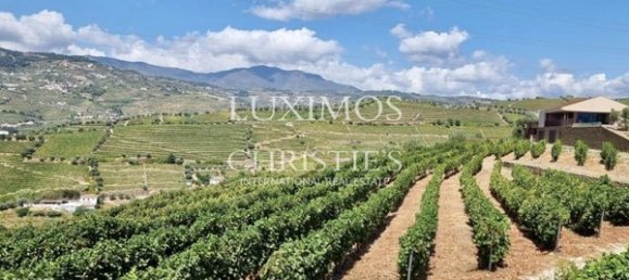 4 غرف نوم منزل في Santa Marta de Penaguiao, Portugal رقم 139873 23