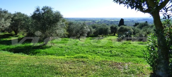 11 rooms House in Campiglia Marittima, Italy No. 225693 43