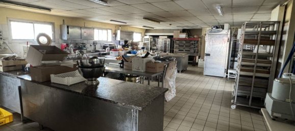 500m² Commercial property in La Chapelle-Saint-Mesmin, France No. 249740 3