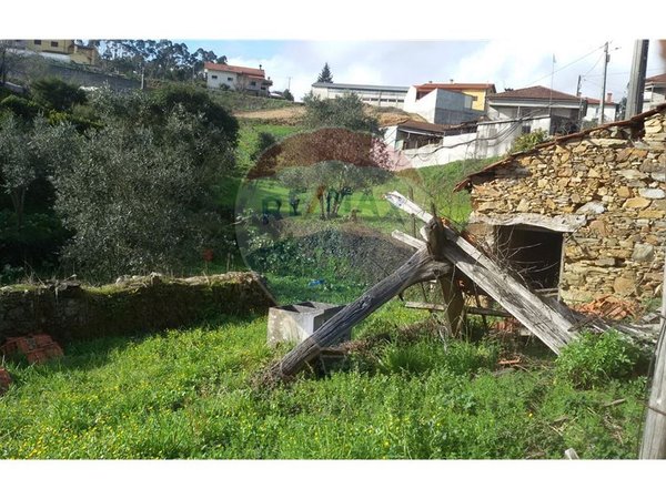 2 bedrooms House in Mortagua, Portugal No. 24759