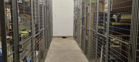 2-Zimmer Wohnung in Wien, Austria, Nr. 252951 17