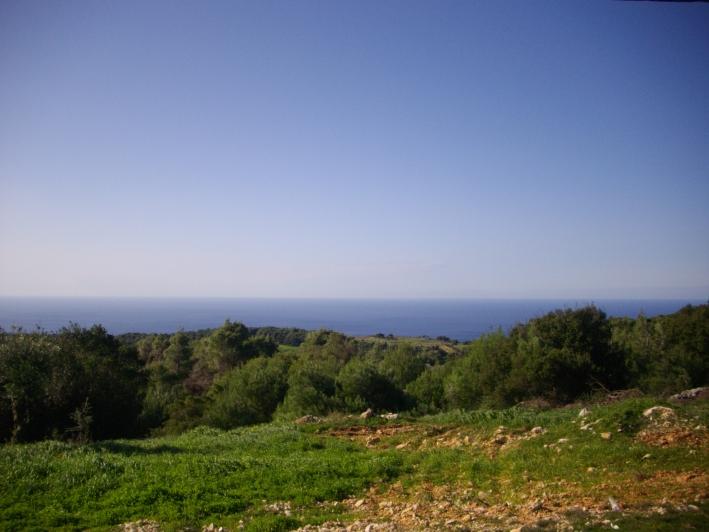  قطعة أرض في Zakynthos, Greece رقم 474