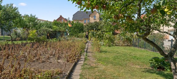 5 غرف نوم فيلا في Harz, Germany رقم 185770 45