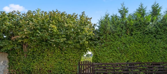 5 غرف نوم فيلا في Harz, Germany رقم 185770 39