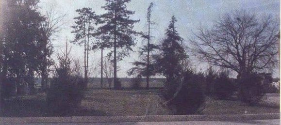 Hotel in Bologna, Italy No. 63147 6