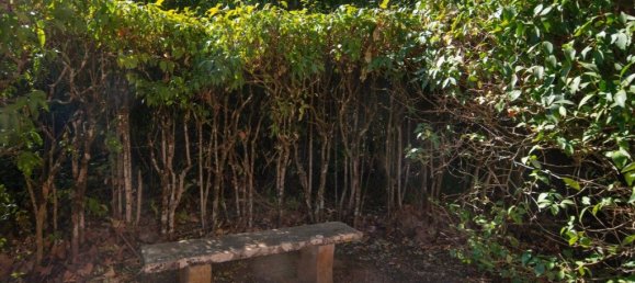 9 bedrooms House in Alenquer, Portugal No. 331335 46