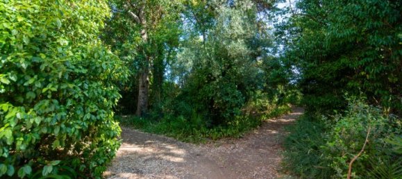 9 bedrooms House in Alenquer, Portugal No. 331335 48