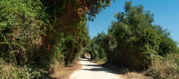 9 bedrooms House in Alenquer, Portugal No. 331335 50