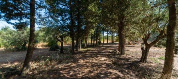 9 bedrooms House in Alenquer, Portugal No. 331335 49