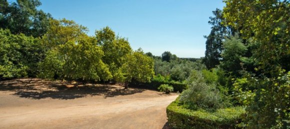 9 bedrooms House in Alenquer, Portugal No. 331335 45