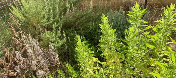 Дуплекс с 5 комнатами в Чечина, Италия № 139157 19