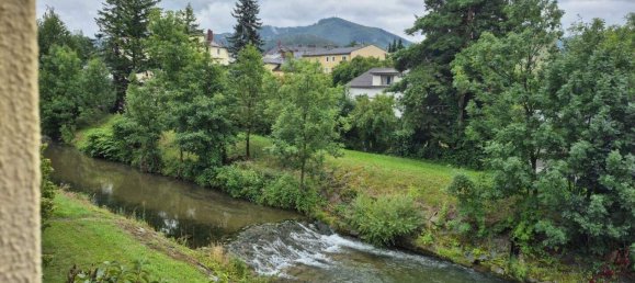 7 rooms House in Hainfeld, Austria No. 262479 24