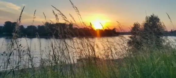 Земельный участок в Дюссельдорф, Германия № 42340 6