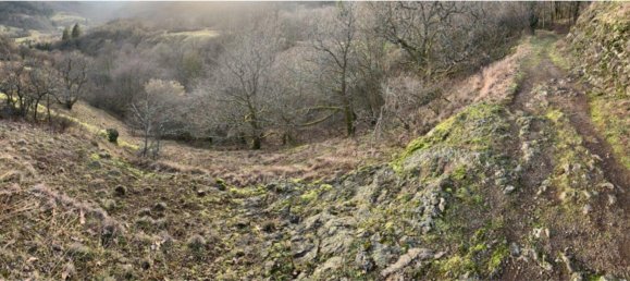 2 bedrooms House in Donnersbergkreis, Germany No. 323230 20