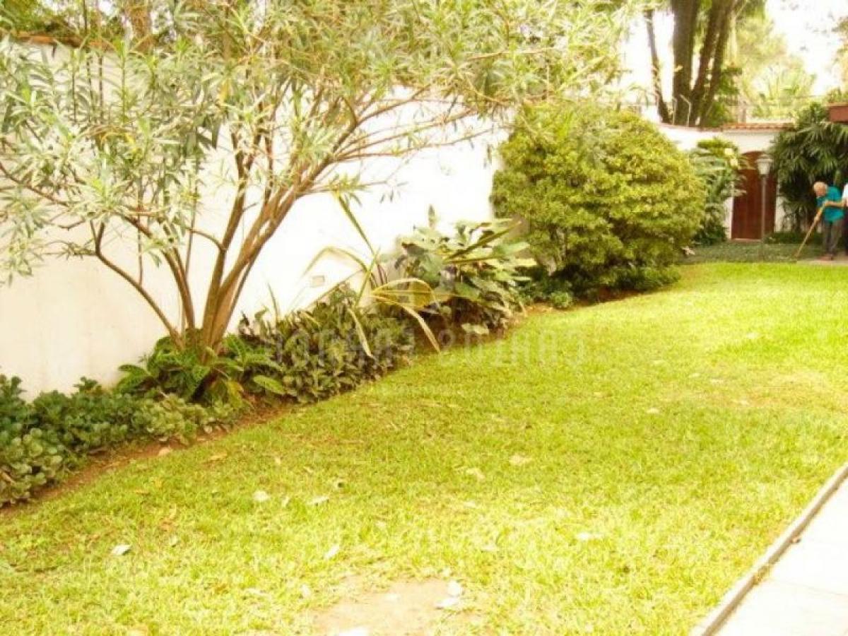 4 Schlafzimmer Haus in Sao Paulo, Brazil, Nr. 594231