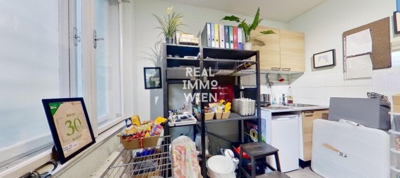 Gewerbliche Immobilie in Neubau, Austria 86m², Nr. 208610 7