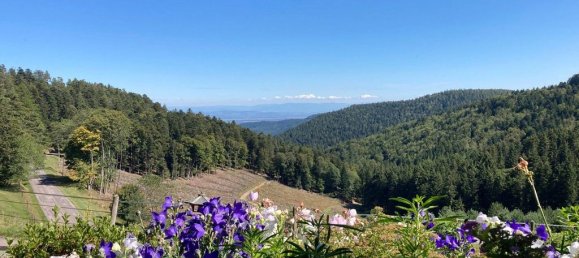 Замки и поместья с 25 комнатами в Эпиналь, Франция № 60355 2