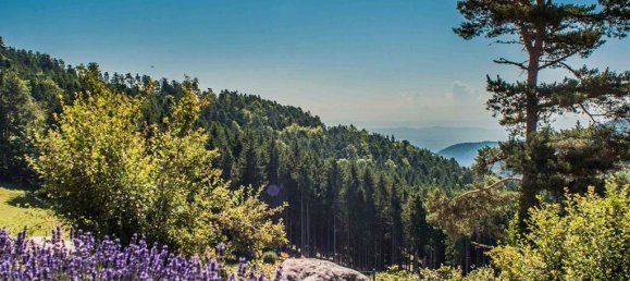 Замки и поместья с 25 комнатами в Эпиналь, Франция № 60355 5